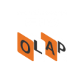 Northwest EIS-OLAP | Experts in Sales, Financial and Business Intelligence Consulting